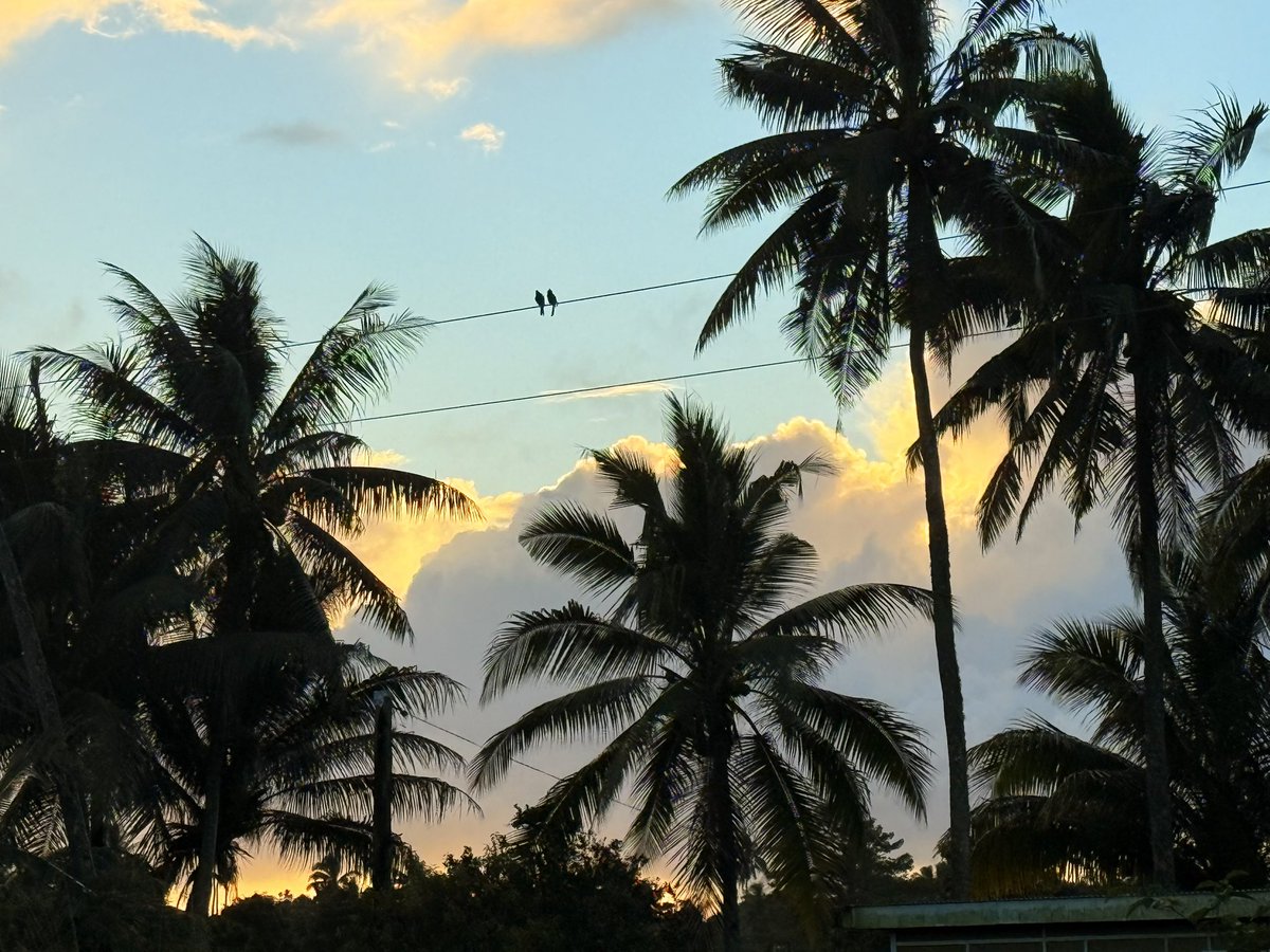 Two birds, one sunrise, and a breathtaking view. ❤️