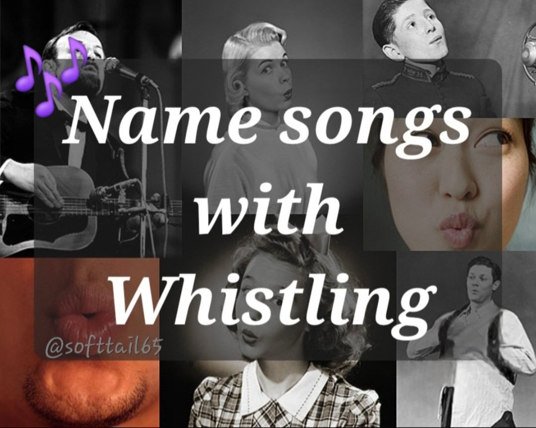 Monica 🌊🌻💙🏳️‍🌈 (@softtail65) on Twitter photo 