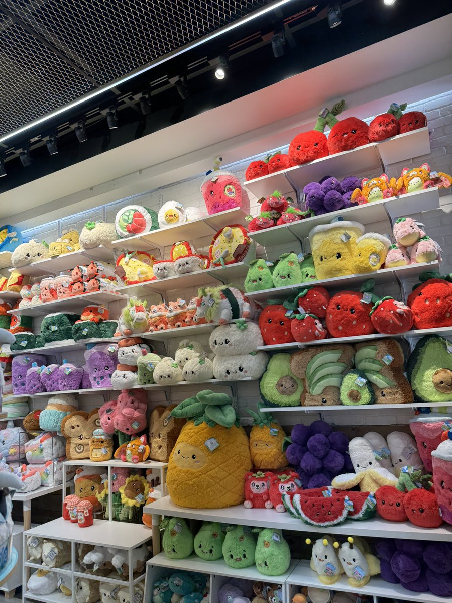 i found heaven in the <a href="/mallofamerica/">Mall of America</a> 🥹