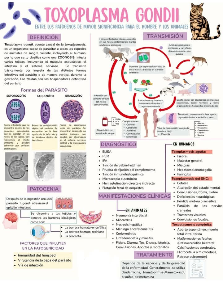 PARASITOLOGÍA tweet media