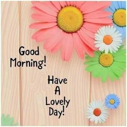 Good Morning X Nation ❤️‍🩹
