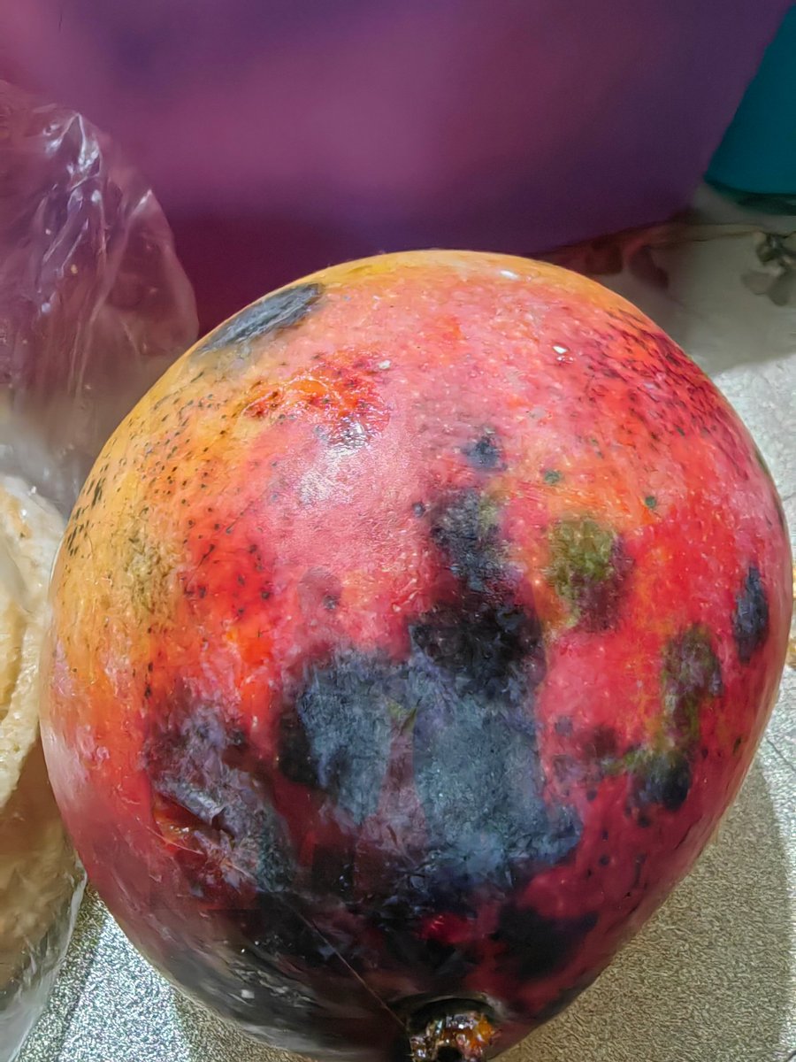 why does it look like my mango has the Clancy album cover on it???