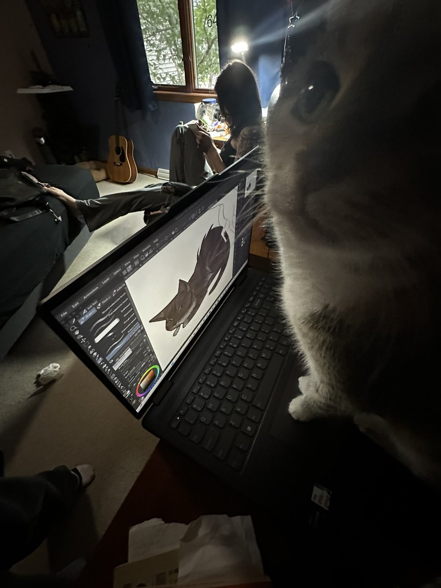 barachiel_o's tweet image. The meowber