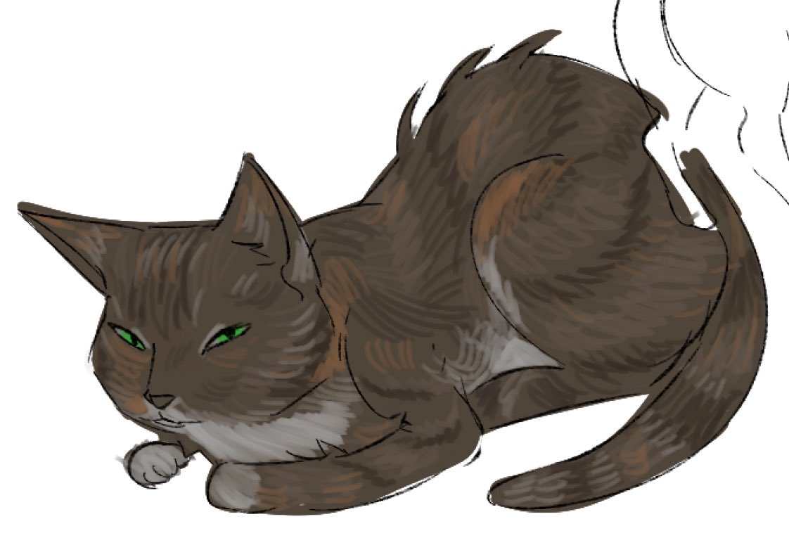barachiel_o's tweet image. The meowber