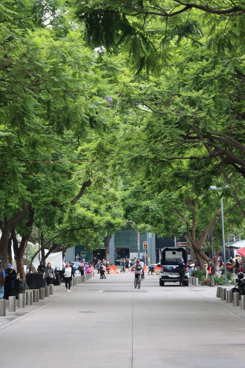 Por acá es verano. Así que tenemos suficiente lluvia y de a ratos un poco de sol. 
En otras partes del mundo es invierno.