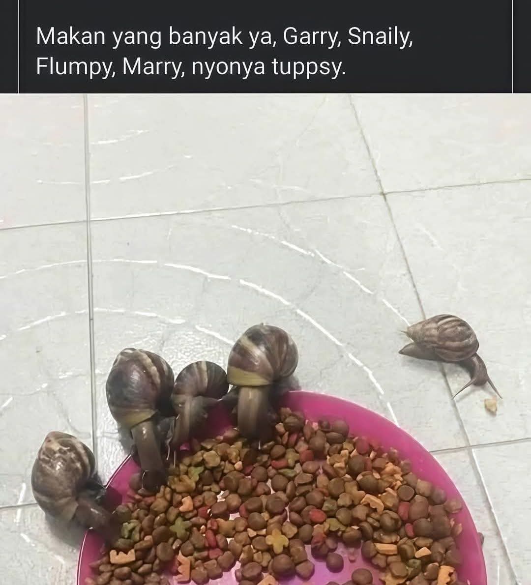 Ketawa itu GRATIS 🛩 (@kucengterbanggg) on Twitter photo 