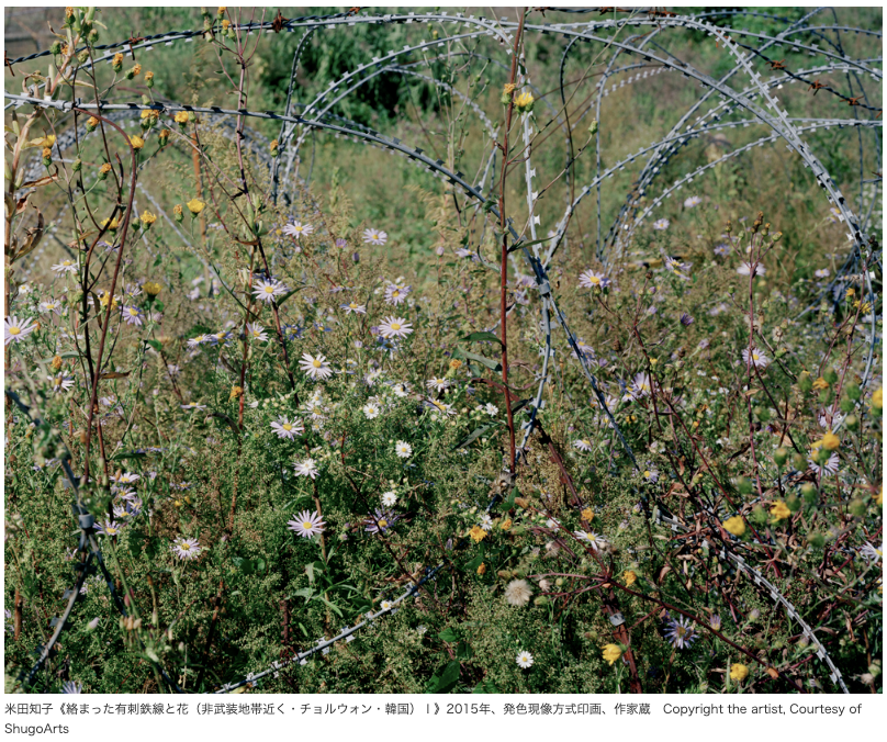 ART iT (JP) tweet media