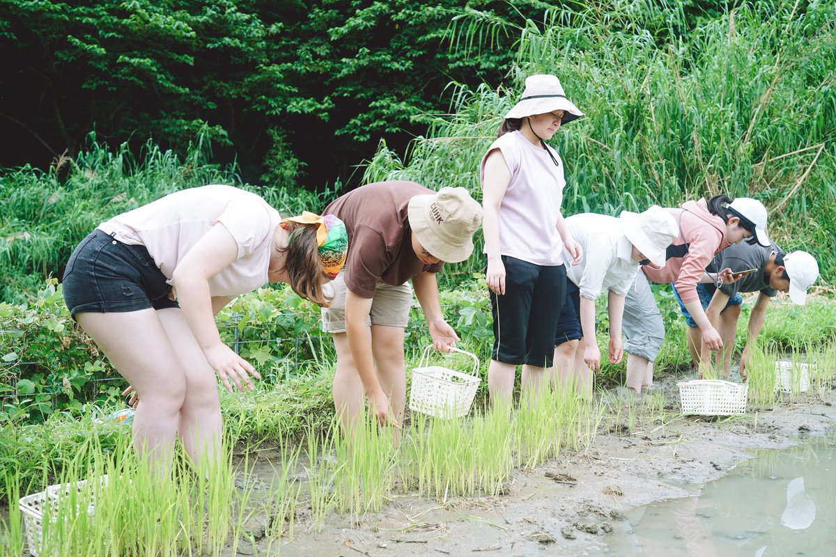 chiharuh's tweet photo. 留学生たちと田植え！雨も降らずギリギリでやり遂げました🙇‍♂️良かったー！ https://t.co/2EtHazdajG