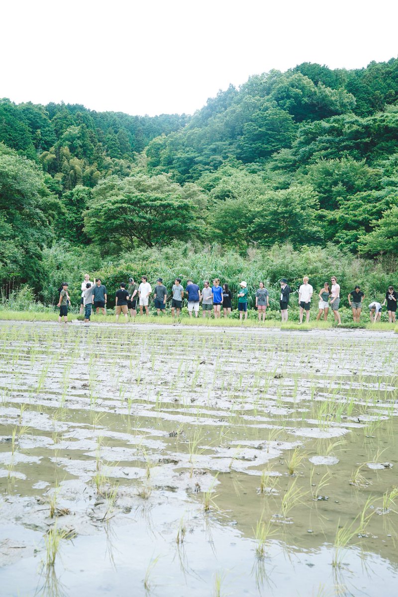 chiharuh's tweet photo. 留学生たちと田植え！雨も降らずギリギリでやり遂げました🙇‍♂️良かったー！ https://t.co/2EtHazdajG