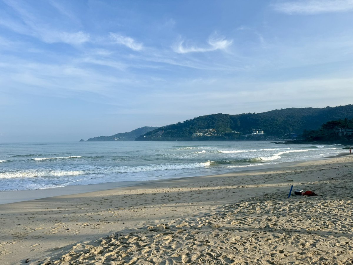 Tony 🐾 tweet media