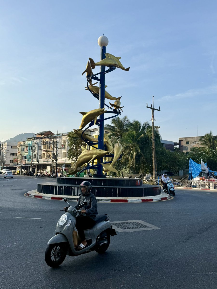 Tony 🐾 tweet media