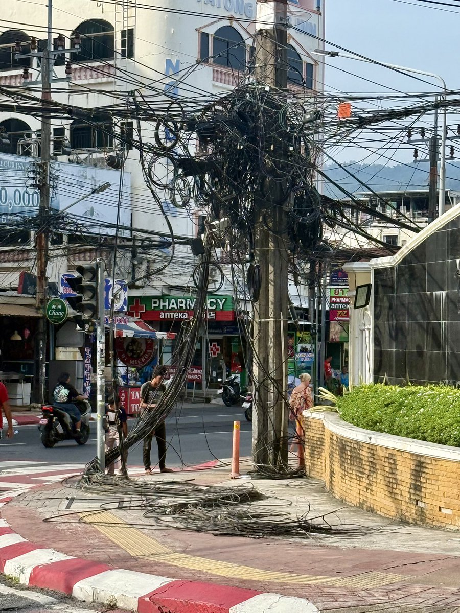 Tony 🐾 tweet media