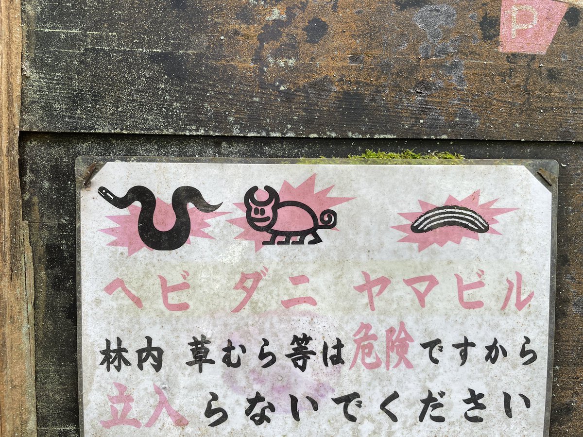 ダニもうちょっとなんかあったろう
