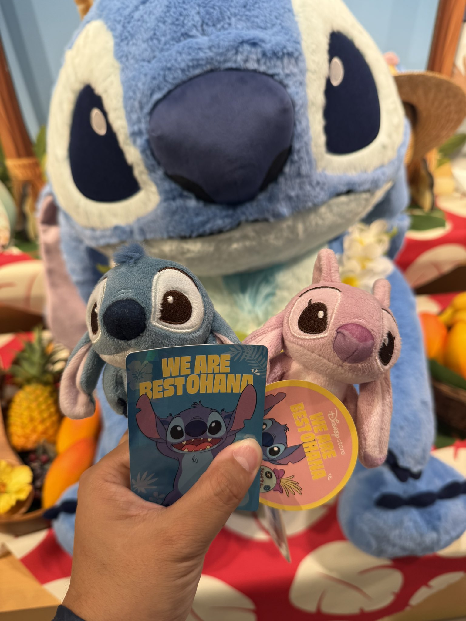 とうじゅ 🦁👑 9/6-12DLR.DCA on X: 