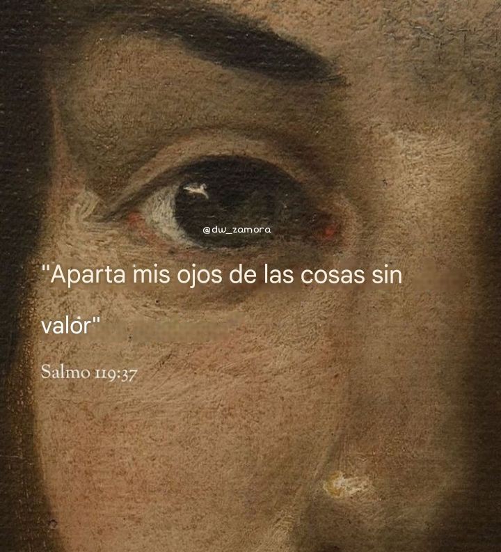 el Siervo (@elsiervo__) on Twitter photo 