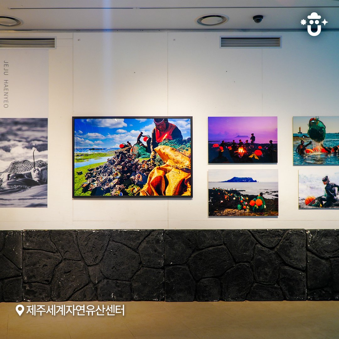 제주 자연유산의 가치를 이해하는 첫걸음,
제주세계자연유산센터🧡

이곳에서 그 첫걸음을 시작해 보셔도 좋을 것 같습니다.😊

📍제주세계자연유산센터
제주 제주시 조천읍 선교로 569-36

자세한 내용은 빛나는제주 네이버 블로그를 확인하세요!

📸 자료제공 : 제주도청 블로그기자단 '박다희'님