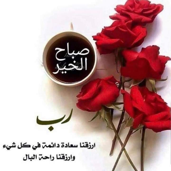 #صباح أول يوم من السنه الجديده 
صباح الورد للذين يتغنىٰ الصبـاح بجمال
 طلتهم..لأولئك الذين يحملون معهم باقات
 السعادة والفرح وَ يوزعونها على قلوب
 العــابرين ابتسـاماتٍ صباح السعادة لـِمن
 يمرون على أسوار القلوب بـِ هدوء وسلام
صباح الخير لجميع.المتابعين بكل خير وسعادة