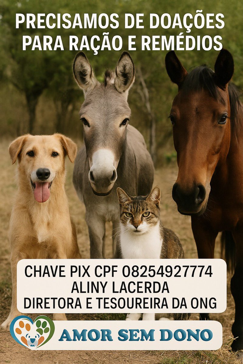 Sou fundadora e hoje vice-presidente desta ONG. Resgatamos animais vítimas de abandono e maus-tratos, e cada um deles precisa de alimento, tratamento e amor.

Quem puder ajudar com qualquer valor estará salvando vidas. Eles contam com a gente — e nós contamos com você. 💔🐾