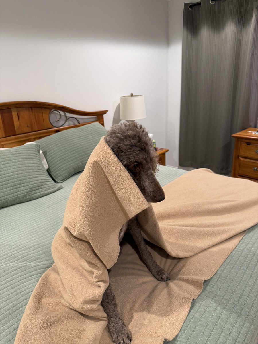 Someone not liking the storm!