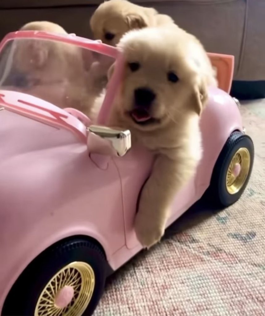 ขึ้นมาเลยเบาะนั่งข้างๆพี่ยังว่าง