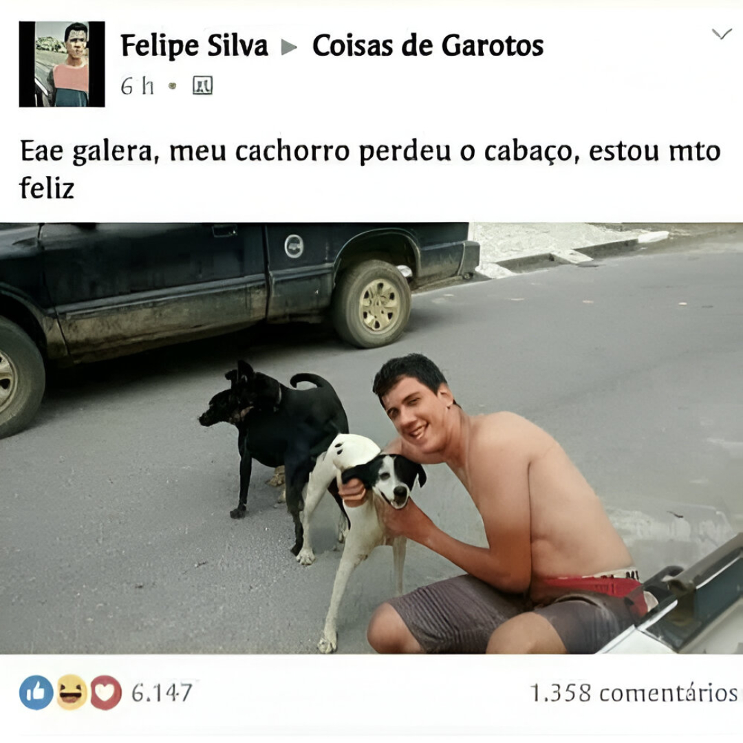 face_acabou's tweet image. vtnc kkkkkkkkkkkkkkkkkkkkkkk