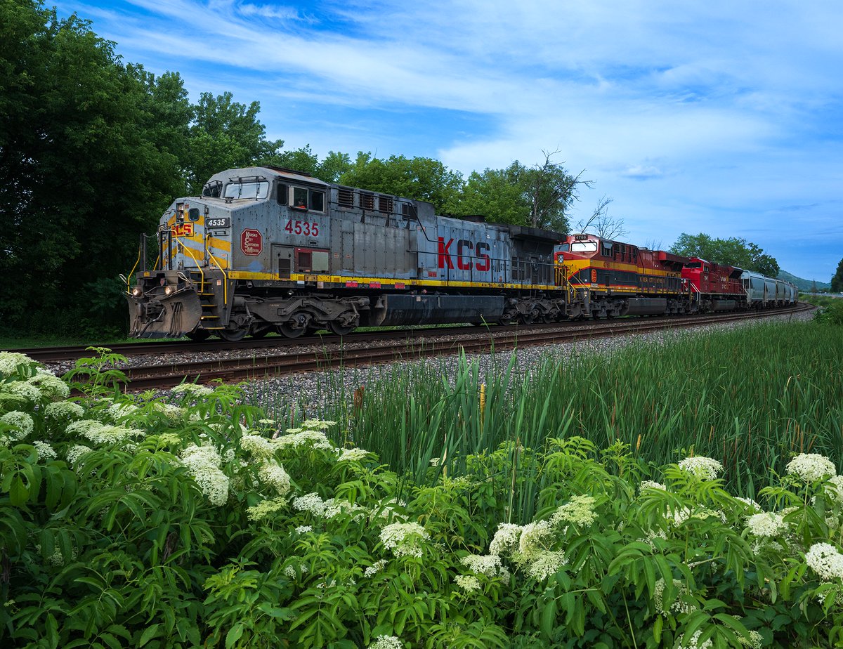 frpaulkammen's tweet image. While out photographing nature I always have another camera too as I love train shots. I liked getting 3 different locomitives (now all owned by the same company, Canadian Pacific) so raced to get ahead of the train. Taken near Winona. #trains #trainphotography