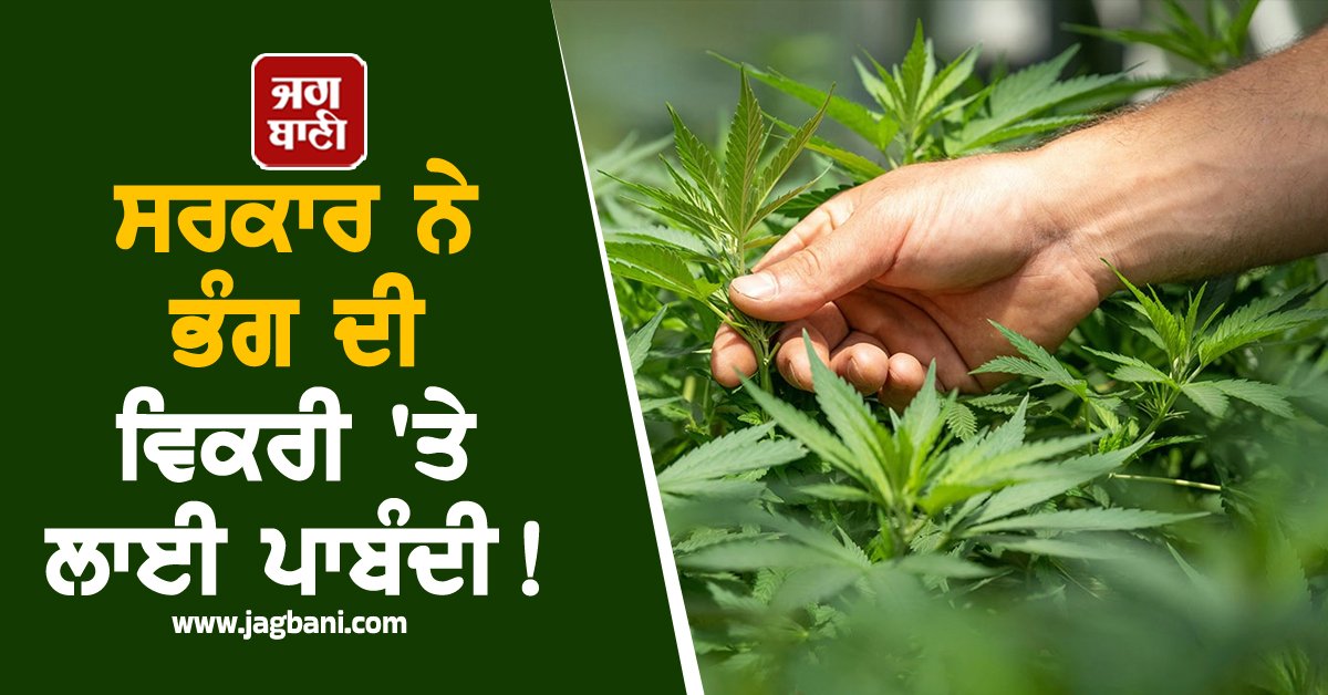 JagbaniOnline's tweet photo. ਭੰਗ ਦੀ ਵਿਕਰੀ ਸਬੰਧੀ ਥਾਈਲੈਂਡ ਸਰਕਾਰ ਨੇ ਵੱਡਾ ਫ਼ੈਸਲਾ ਲਿਆ ਹੈ। ਥਾਈਲੈਂਡ ਨੇ ਬਿਨਾਂ ਡਾਕਟਰ ਦੀ ਪਰਚੀ ਤੋਂ ਭੰਗ ਦੀ ਵਿਕਰੀ 'ਤੇ ਪਾਬੰਦੀ ਲਗਾ ਦਿੱਤੀ ਹੈ ਤਾਂ ਜੋ ਇਸ 'ਤੇ ਕੰਟਰੋਲ ਹੋਰ ਸਖ਼ਤ ਕੀਤਾ ਜਾ ਸਕੇ।ਥਾਈਲੈਂਡ 2022 ਵਿੱਚ ਭੰਗ ਨੂੰ ਅਪਰਾਧ ਤੋਂ ਮੁਕਤ ਕਰਨ ਵਾਲਾ ਏਸ਼ੀਆ ਦਾ ਪਹਿਲਾ ਦੇਸ਼ ਬਣ ਗਿਆ ਸੀ
#Cannabis #Ban #Thait #Jagbani https://t.co/uIxlMn6v4W