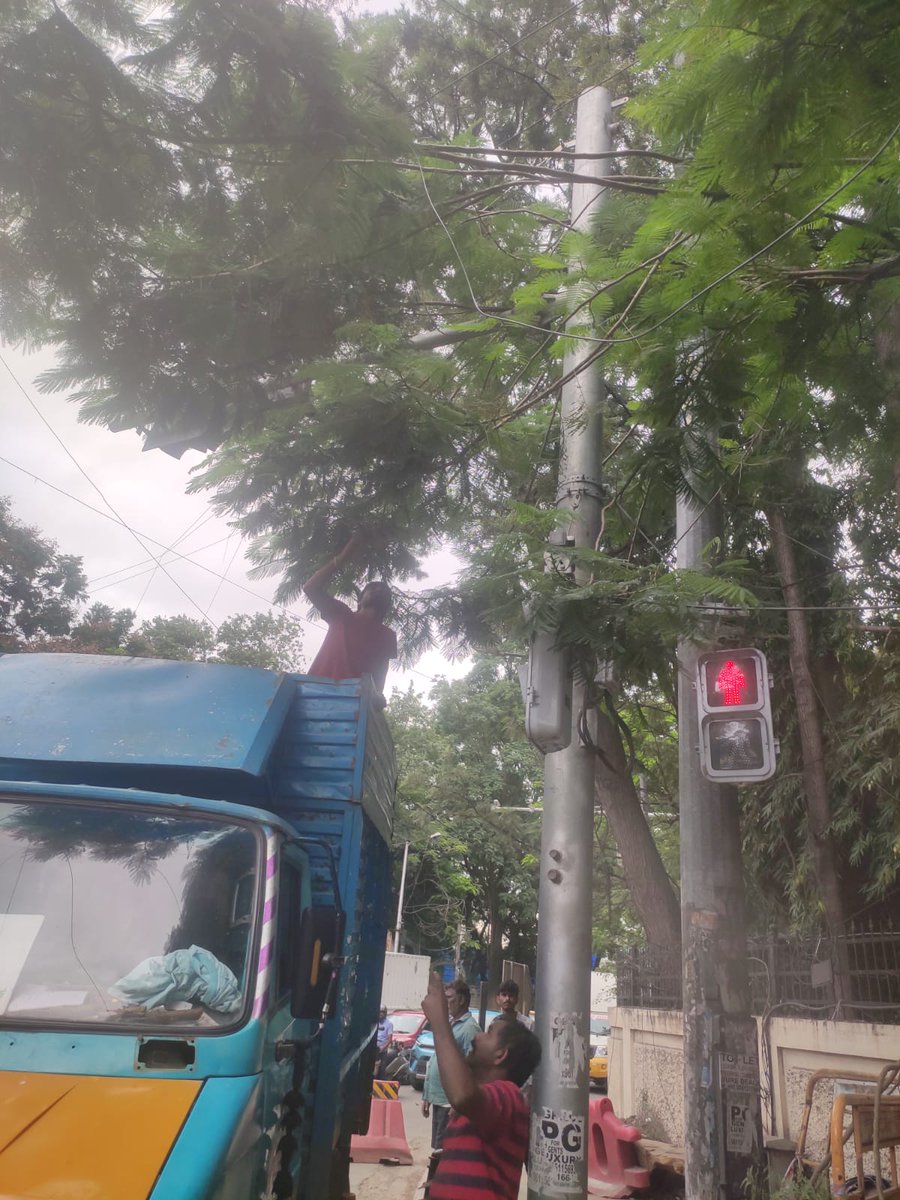 ಅಶೋಕ ನಗರ ಸಂಚಾರ ಠಾಣಾ ವ್ಯಾಪ್ತಿಯ ಸಿಗ್ನಲ್ ಲೈಟ್ ಜಂಕ್ಷನ್ ನಲ್ಲಿ ಸಿಗ್ನಲ್ ಕಂಬಗಳಿಗೆ ಅಡ್ಡಲಾಗಿರುವ ಮರದ ರೆಂಬೆಗಳನ್ನು ಬಿಬಿಎಂಪಿ ಸಿಬ್ಬಂದಿಗಳ ಸಹಾಯ ಪಡೆದು  ಕತ್ತರಿಸಿ ವಾಹನ ಸವಾರರ ಸುಗಮ ಸಂಚಾರಕ್ಕೆ ಅನುವು ಮಾಡಿಕೊಡಲಾಗಿದೆ.