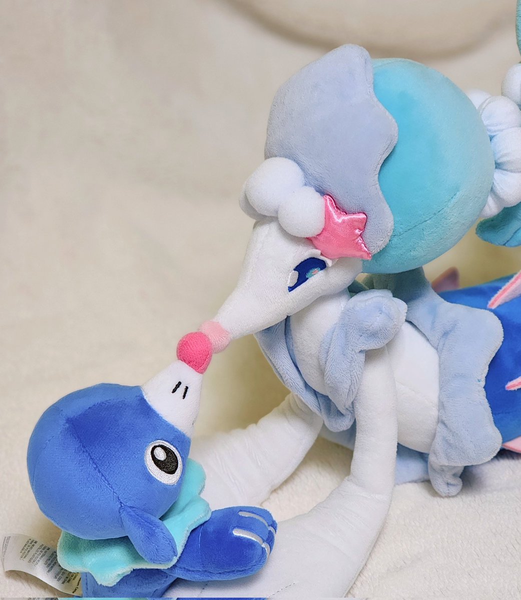 제감초 (@gamcho_123) on Twitter photo 