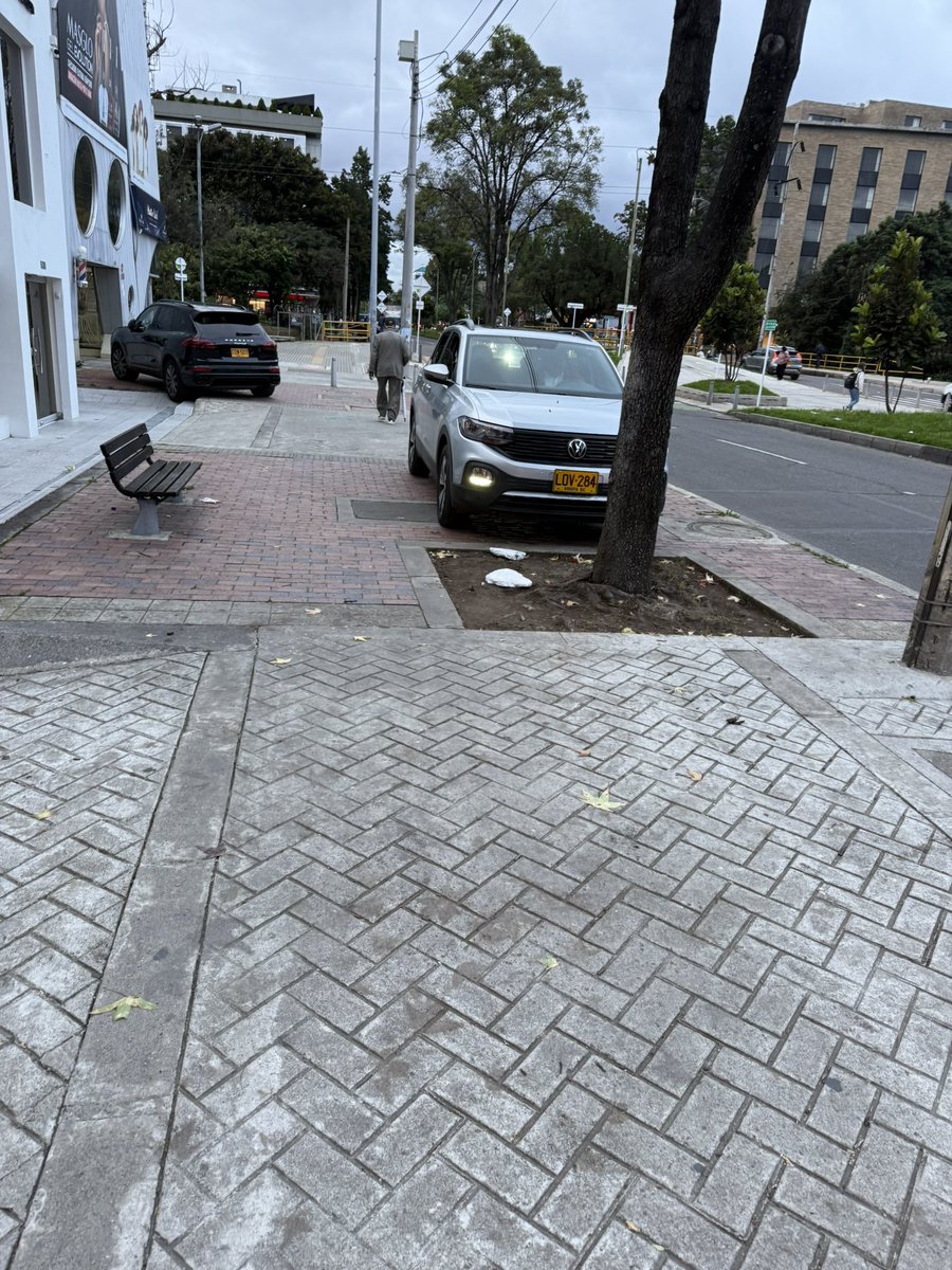 Analucia Zarama tweet media