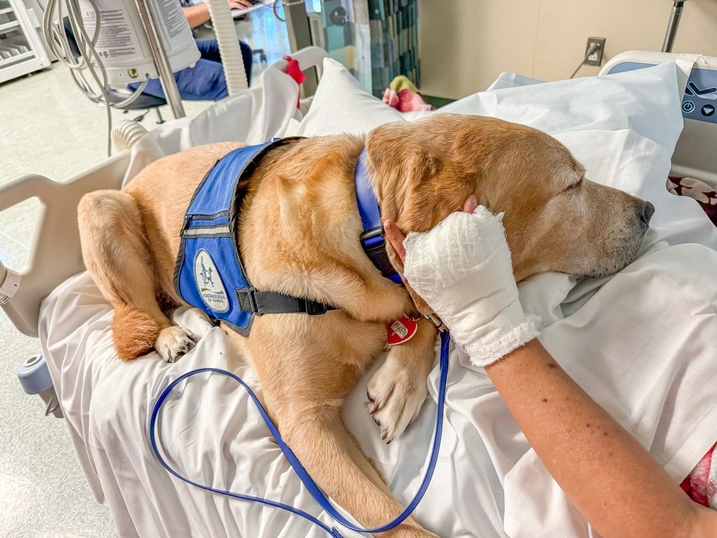 Happy birthday, Mikey! 🎉🐾 Our four-legged coworker just turned 6. From morning rounds to courtyard cuddles, Mikey brings joy and calm to patients and staff alike.