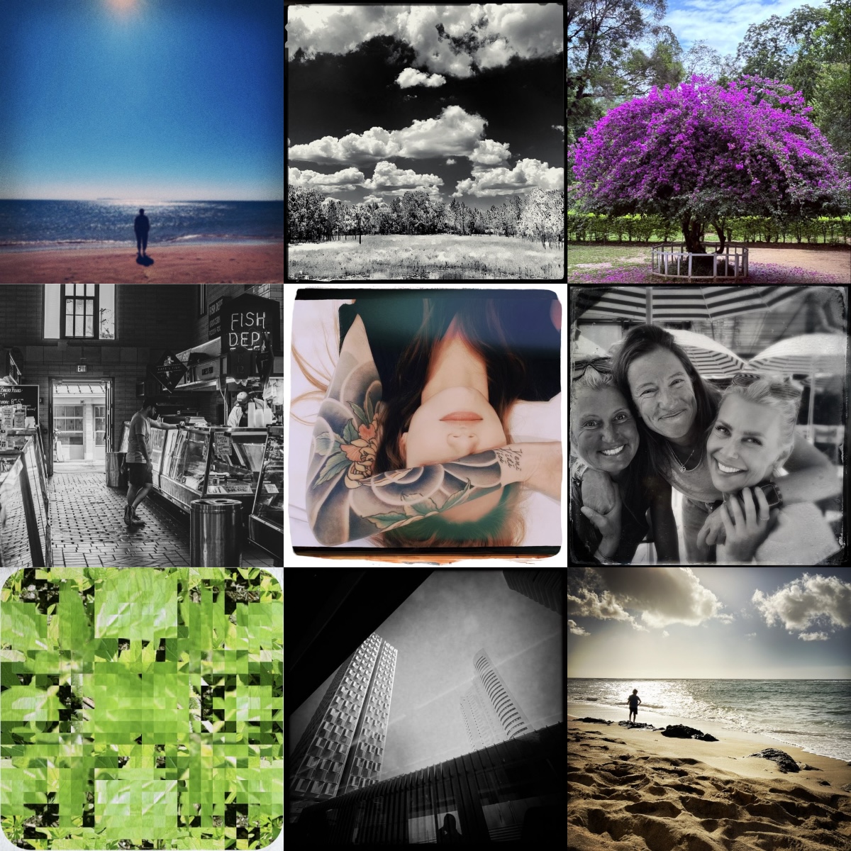 Hipstamatic® tweet media