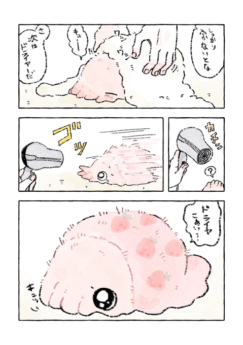 何も知らないフワフワのイカ(苺柄)がお風呂あがりに知った事 