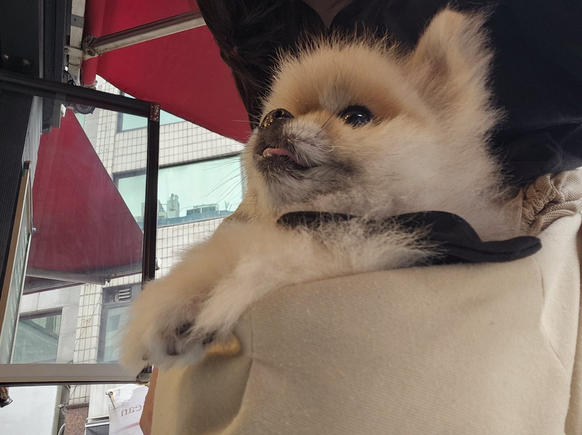 멍무이랑 커피사러왔당 히히