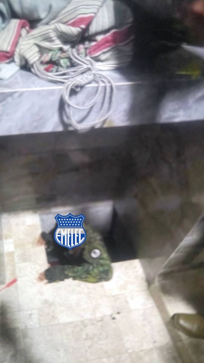 Regresa a tu alcantarilla <a href="/CSEmelec/">Club Sport Emelec</a>