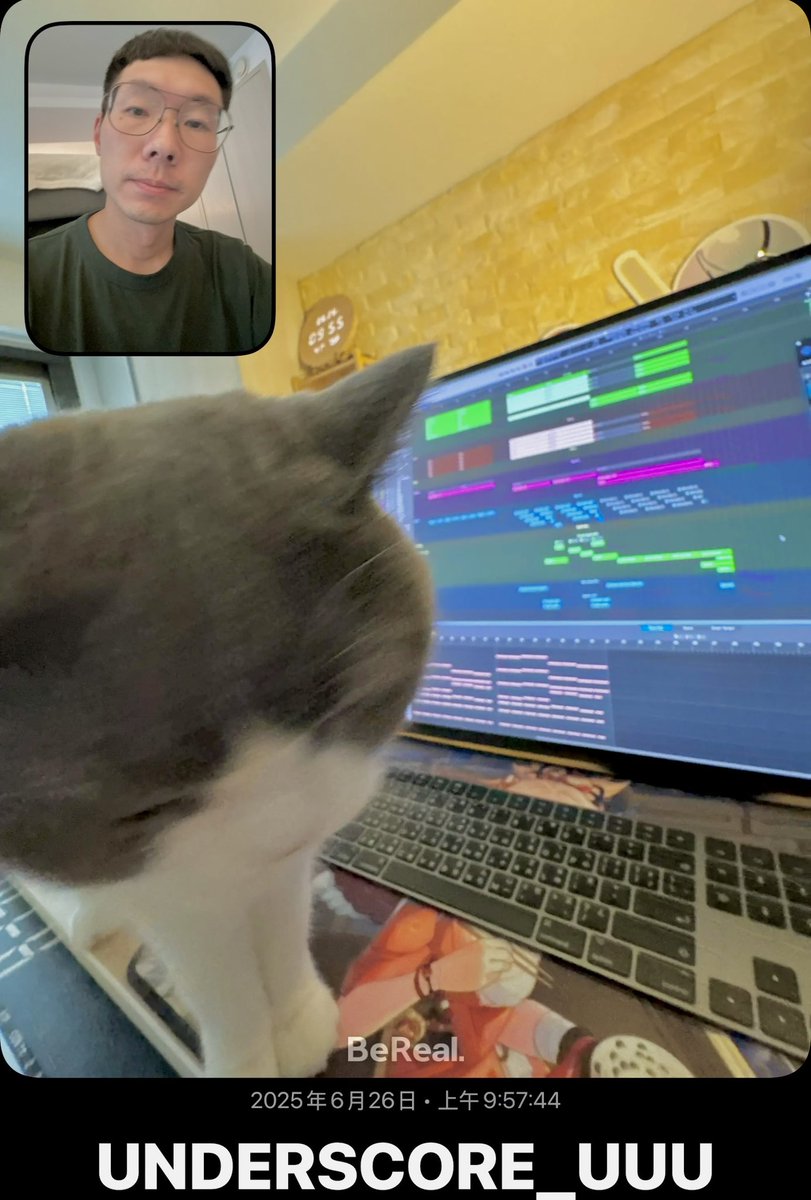 Hit 🐱 #MusicDaily #Compose #Music #Producer #SoundDesigner #GameComposer #gamemusic #gameaudio #unclearranger #cat #cats #BritishShorthair #British #Shorthair