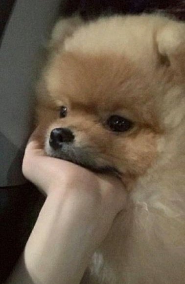 Lluvioso dia amigos🌧️☔
Como los trato?👀
Como les fue?