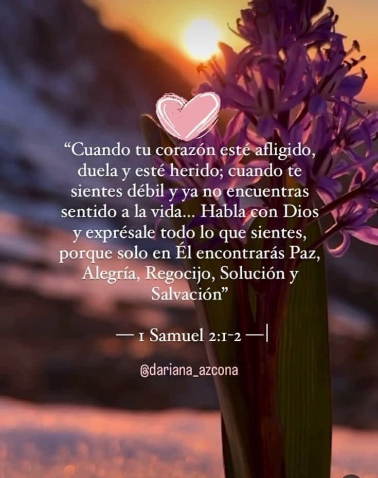 Medalit González (@gonzlezmedalit) on Twitter photo 