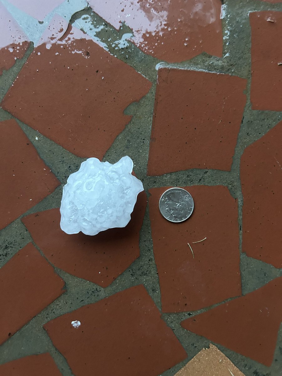 CameronFink99's tweet photo. @tropicalupdate Check out this hail that fell in Tallahassee today https://t.co/0xeN1MlXMd