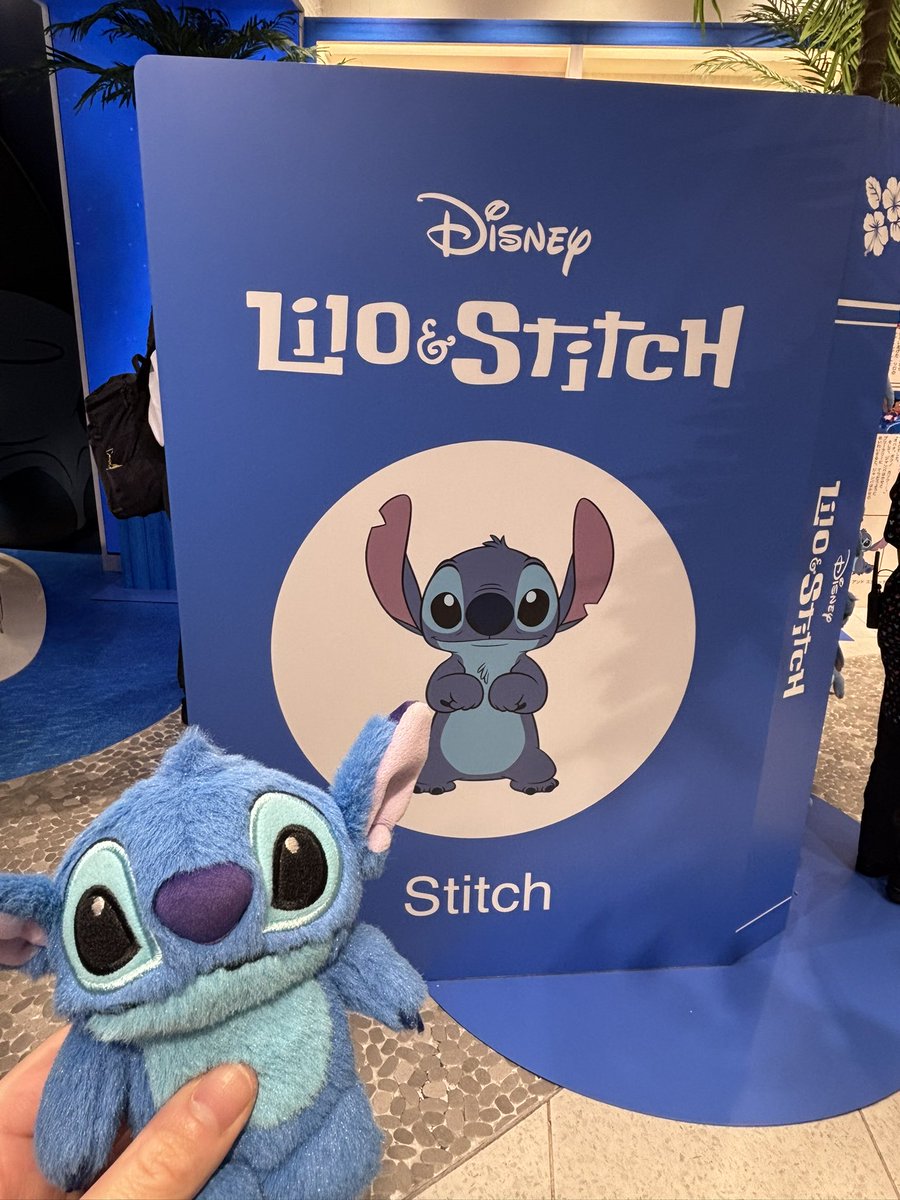 39_stitch626's tweet photo. #スティッチの日  
 #スティッチ https://t.co/pE4mP3Hm4d