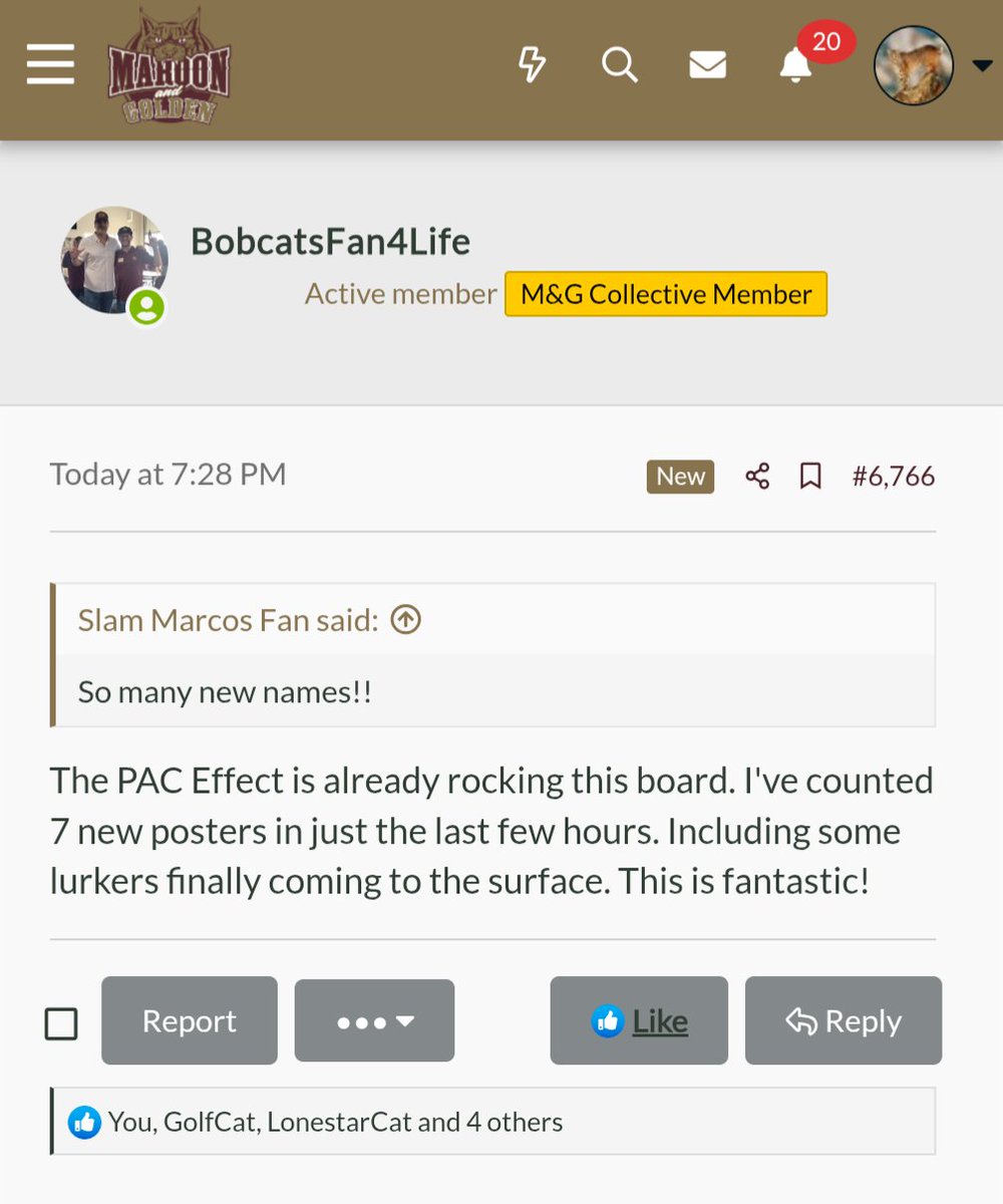 Maroon & Golden tweet media