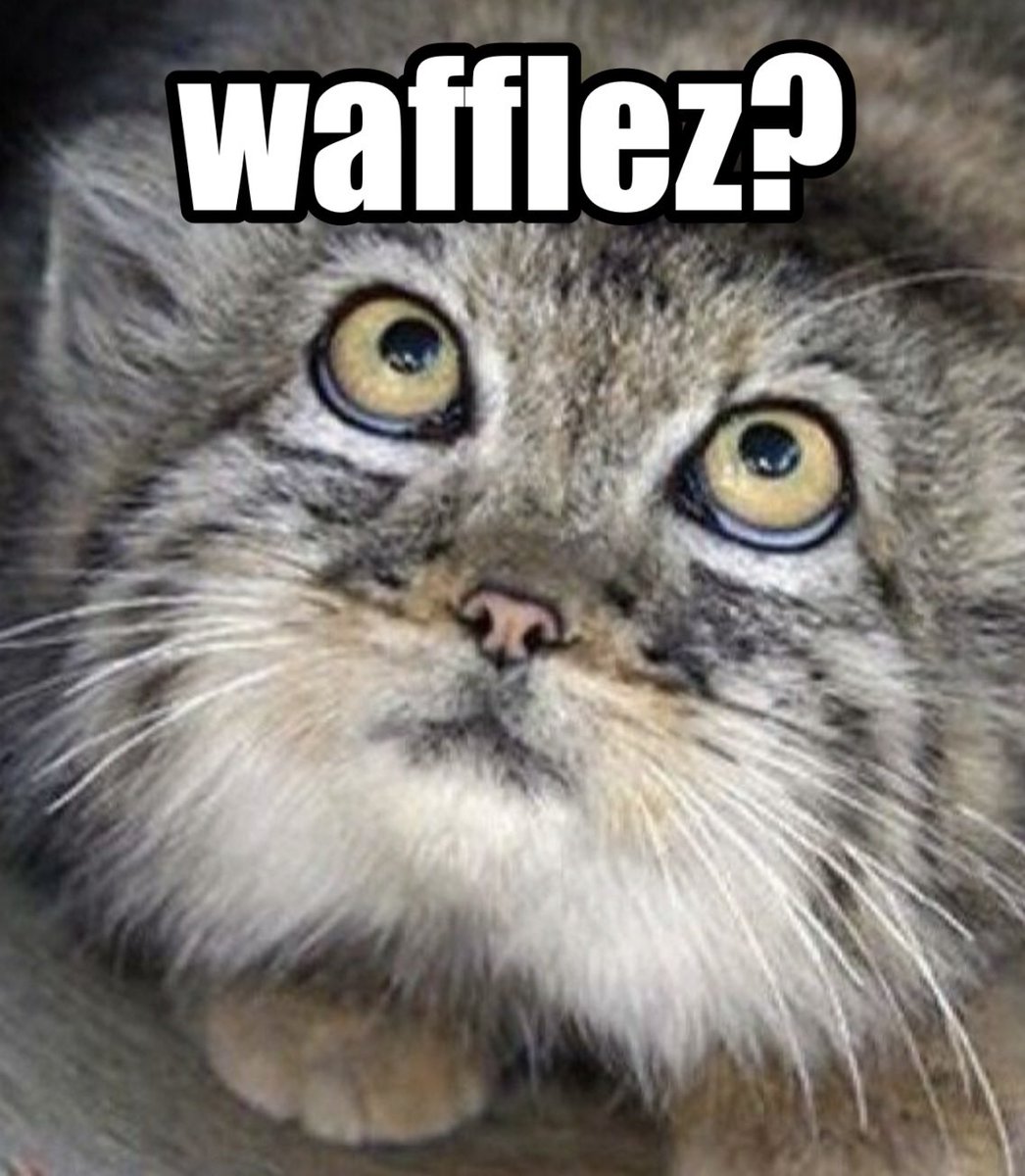 rawrwafflz's tweet photo. https://t.co/I8f2IlIhw4