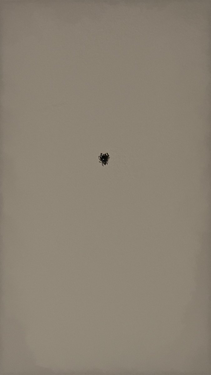 Ronzynburr's tweet photo. Turn me into spider man https://t.co/NZ2xnnyiTg