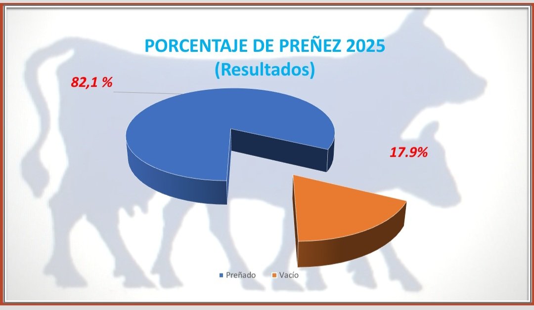 GraceQuintans tweet media