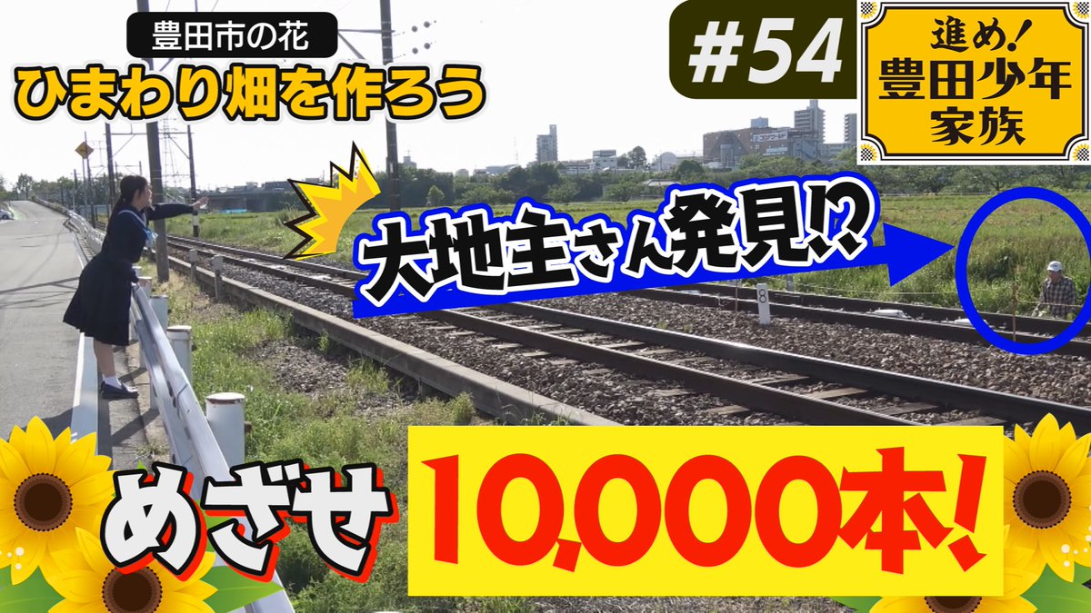 toyotashonen's tweet photo. 本日20:30から🌻地上11ch📺
「進め！豊田少年家族」＃54 が放送！       

★ひまわり畑を作ろう🌻大地主さん登場！
★豊田今昔写真📷マークの謎に迫る！
★おいでんまつりへの道🕺全校集会に登壇！
★豊田市いい事いい人嬉しかった事ニュース 🎤

過去回もぜひ！😎
https://t.co/TFD1XPTYjP https://t.co/6c5fTlzndn