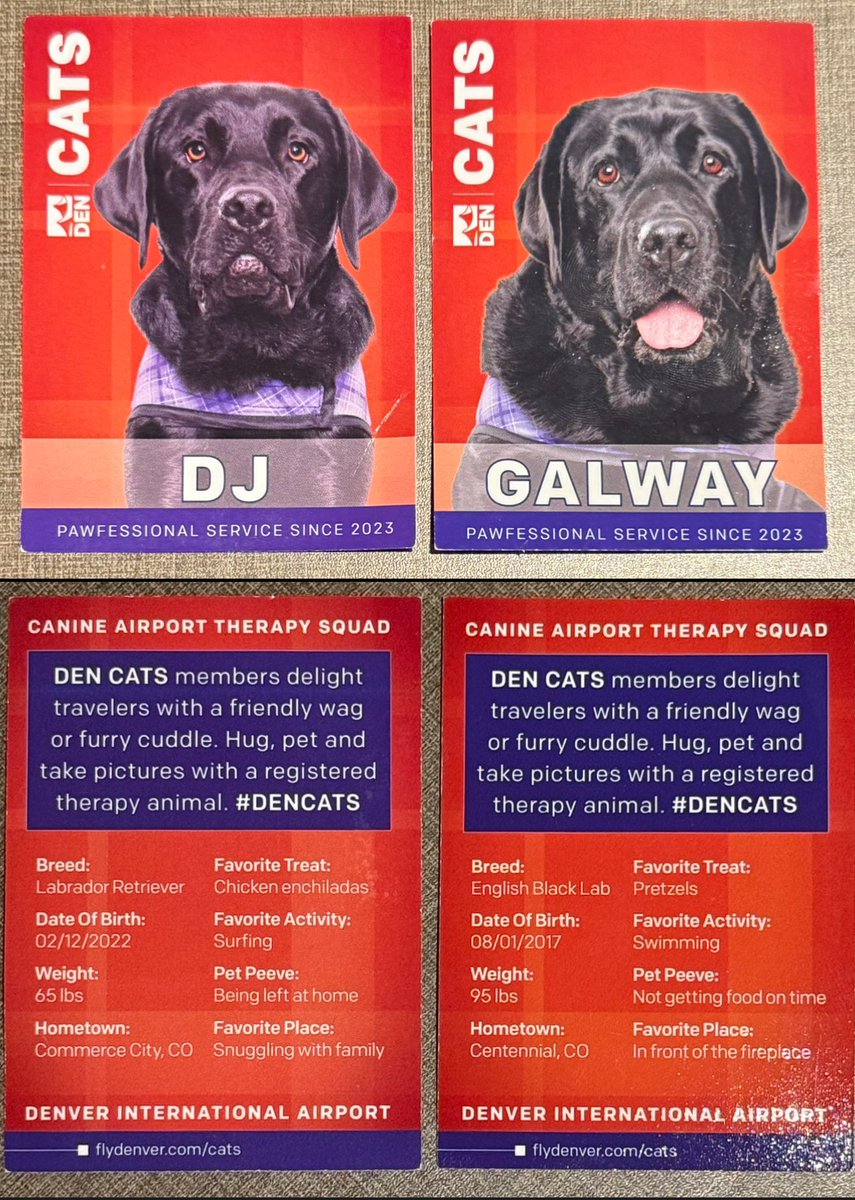 DocDurrDan's tweet image. Best thing about my job by far is the therapy dogs that come in every day. They even have their own individual trading cards that their handlers give out. Obviously I collect them because it’s the cutest thing ever