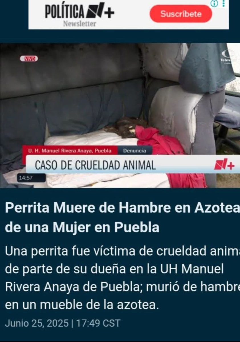Exigimos castigo para la criminal <a href="/FiscaliaPuebla/">FGE Puebla</a> CCP. <a href="/armentapuebla_/">Alejandro Armenta</a>
