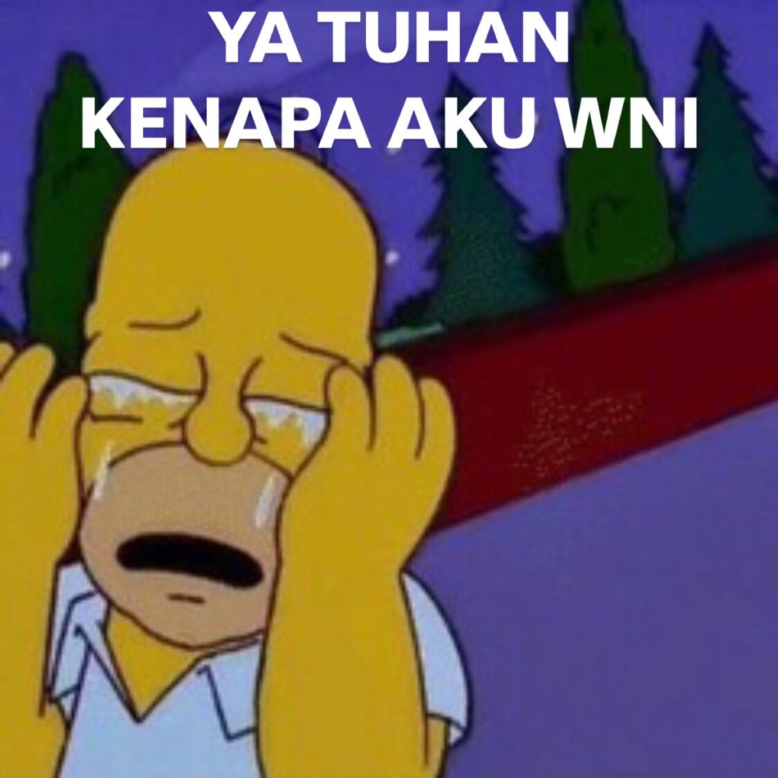 leonardo2_7's tweet photo. @Anak__Ogi https://t.co/W90K4W8nhA