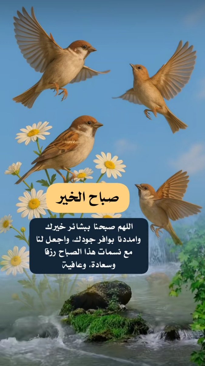 ٠٠
" لعلَّ هذا الصّبــاح يمتّـصُ كُل ضيـقِ منْ أروَاحكـم الُمنهَكـة ٠٠ صباحكــم سعـادة وراحـة بال"🦋🕊️
#صباح_الخير
#صباح_الأشــﯾاء_الـﻤشرقَة