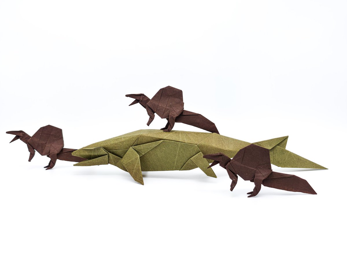 문용준/Yongjoon Moon (@colacanth1) on Twitter photo 